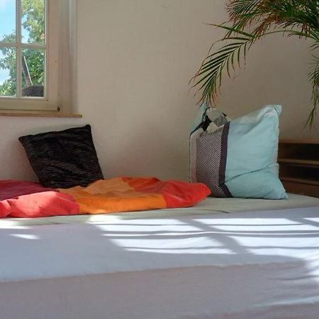 Forrest Apartments In Freiberg Min Stay 2 Nights Max Number Of Guest 1 Aprt 1 المظهر الخارجي الصورة
