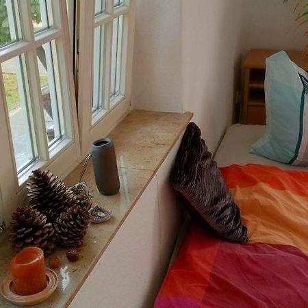 Forrest Apartments In Freiberg Min Stay 2 Nights Max Number Of Guest 1 Aprt 1 المظهر الخارجي الصورة