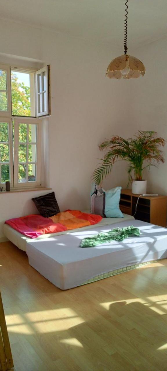 Forrest Apartments In Freiberg Min Stay 2 Nights Max Number Of Guest 1 Aprt 1 المظهر الخارجي الصورة