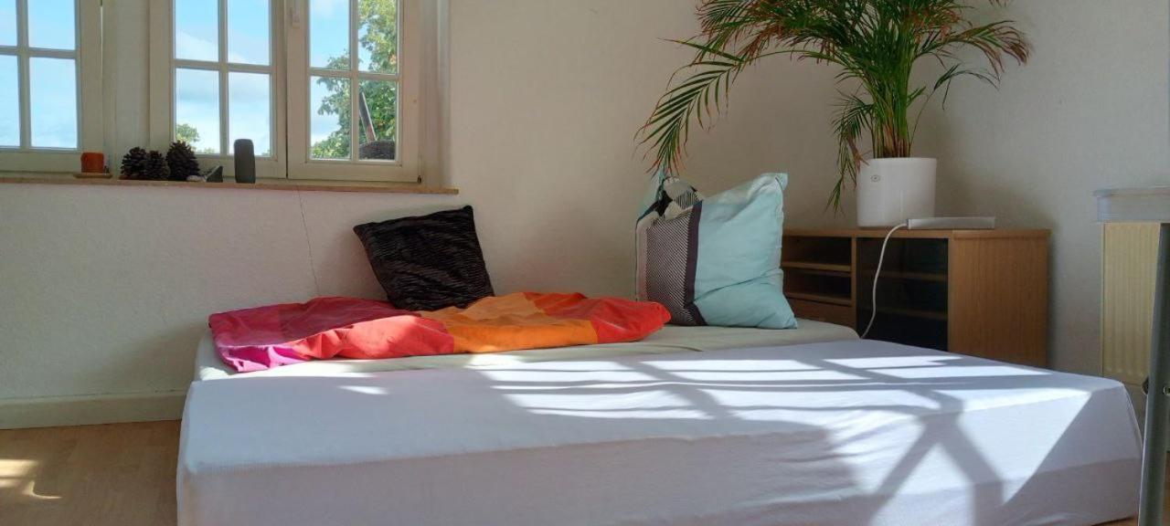 Forrest Apartments In Freiberg Min Stay 2 Nights Max Number Of Guest 1 Aprt 1 المظهر الخارجي الصورة