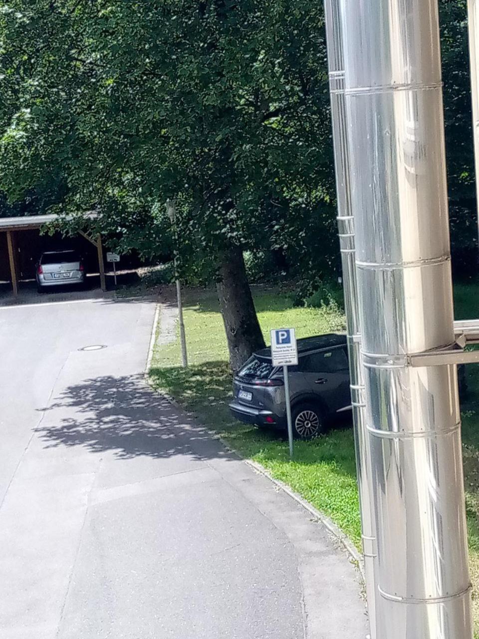 Forrest Apartments In Freiberg Min Stay 2 Nights Max Number Of Guest 1 Aprt 1 المظهر الخارجي الصورة
